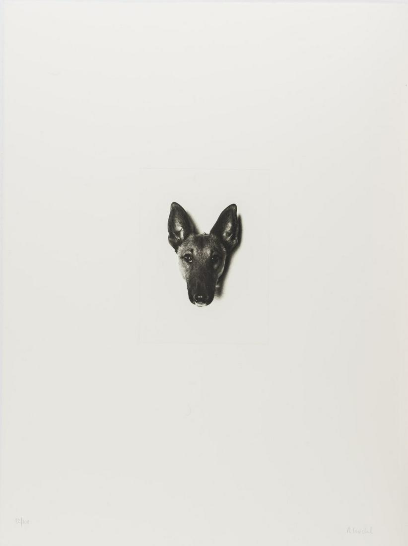 Rosemarie Trockel (1952 Schwerte), Dog portrait, from: Rosemarie Trockel (1952 Schwerte), Dog portrait, from 'Meine Kindheit - Schmerz und Heilung', 1997, Heliogravure on Hahnemühle handmade paper. 25.8 x 18.9 cm (plate), 79.1 x 59.0 cm (sheet). Sign