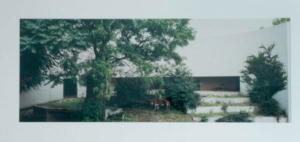 Candida Hofer (Eberswalde 1944). 'Zoologischer Garten S: Candida Hofer (Eberswalde 1944). 'Zoologischer Garten Stuttgart I', 1991. 49 x 77.5 cm. C-Print. Back marked: 2/6, Zoologischer Garten Stuttgart I 1991, signed. Mounted, glass frame. No. 2 of 6.