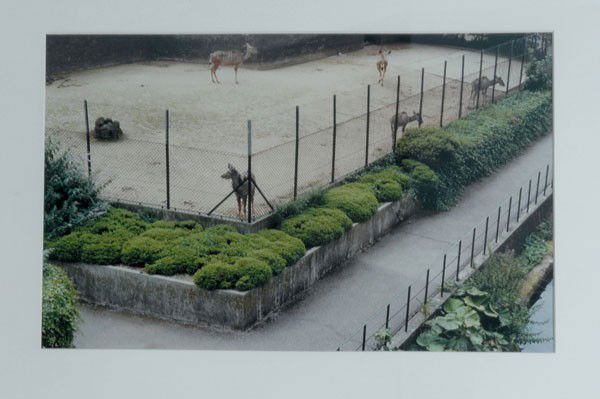 Candida Hofer (Eberswalde 1944). 'Zoologischer Garten L: Candida Hofer (Eberswalde 1944). 'Zoologischer Garten London II', 1992. 40.3 x 51.3 cm. C-Print. Back inscribed: 2/6, Zoologischer Garten London II 1992, signed Candida Hofer. Mounted, glass frame. No