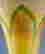 item-10029895=2