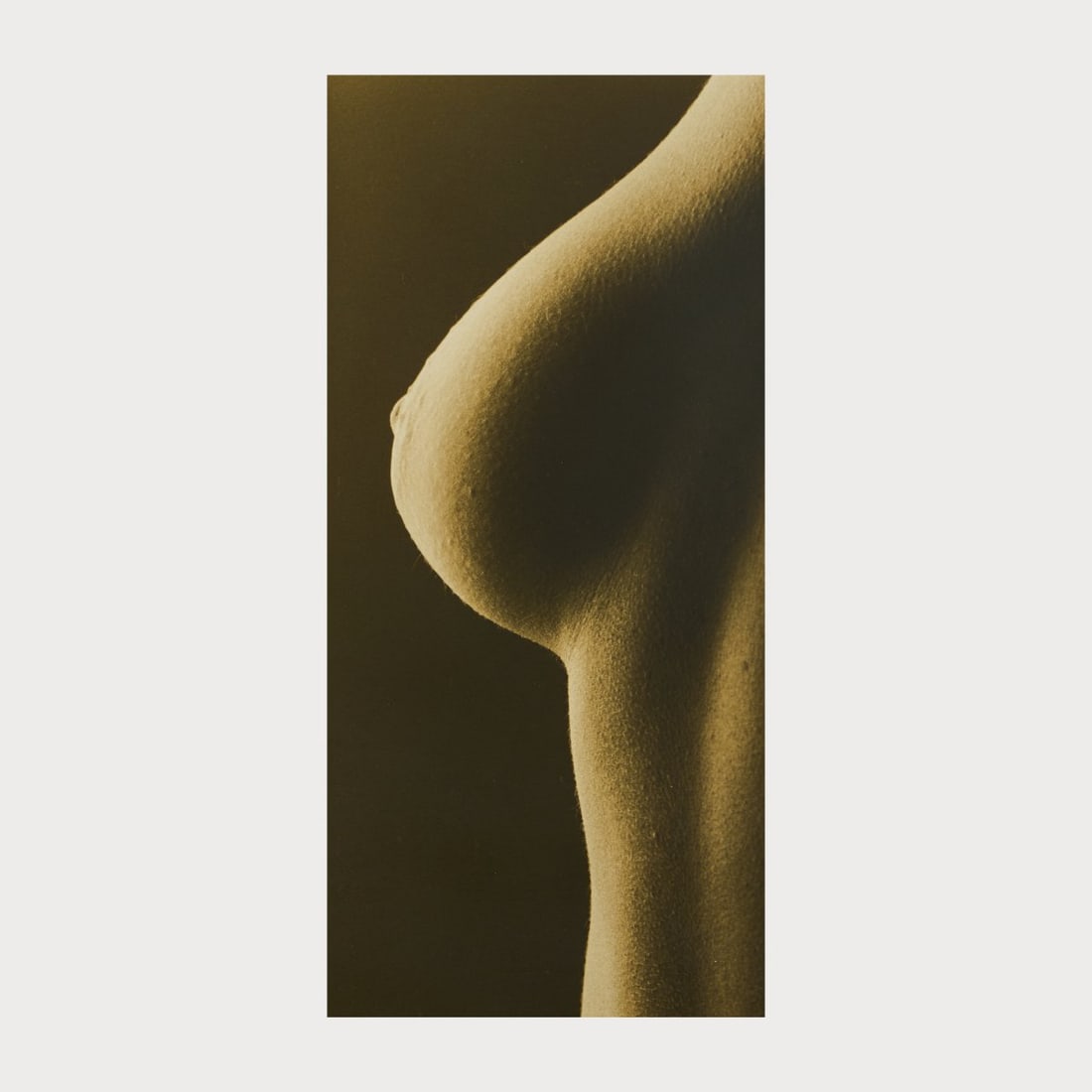 Frederic Ohringer (1940 USA), 'Melanie', 1992: Sepia toned gelatin silver print. 38.0 x 18.3 cm (passepartout cutout, verso indicated as 16 x 20 inches), 70.5 x 49.0 cm (frame). Numbered recto: 1/25 and signed (pencil), verso typographically inscr