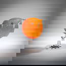 Alessandro Pianon, 'Pulcino' bird, 1962