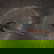 item-208333238=3