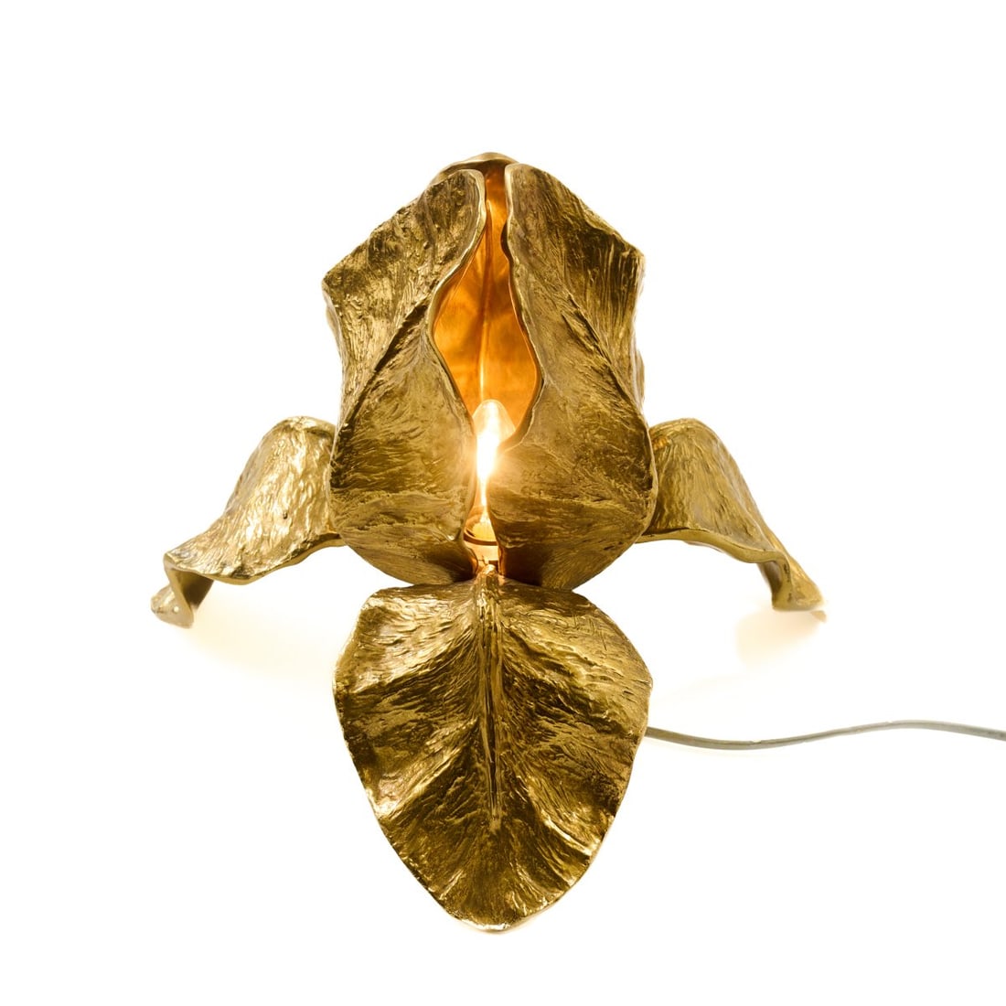 Christyane Charles, Table light 'Iris', c. 1972 (design): <p>H. 30 x 33 cm. <br />Maison Charles, Charles &amp; Fils, Paris. <br />Bronze, gilded, brass. <br />Marked: Artist's monogram.</p>