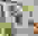item-75205588=6