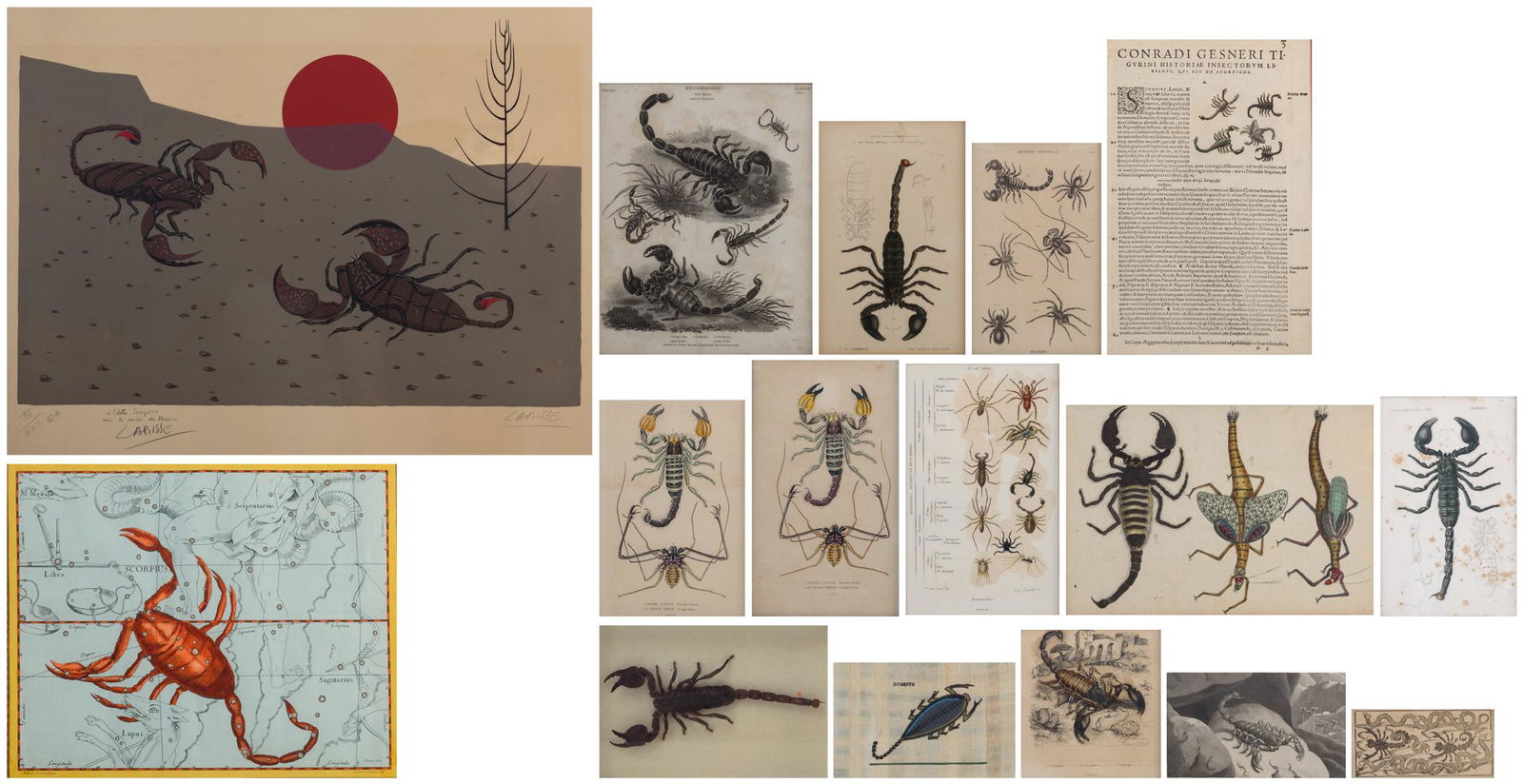 A various collection of scorpion related items, (1 of 11)