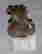 item-129317169=3