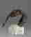 item-129317169=4