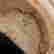 item-129317789=11