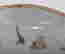 item-129326774=8