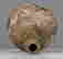 item-136003956=6