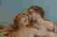 item-136004838=4