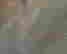 item-136004838=7