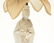A Chinese Guanyin, Blanc de Chine, mounted into a lamp; - 4