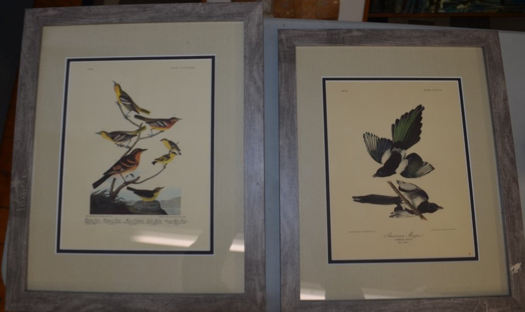 Pair of Audobon Prints (1 of 7)