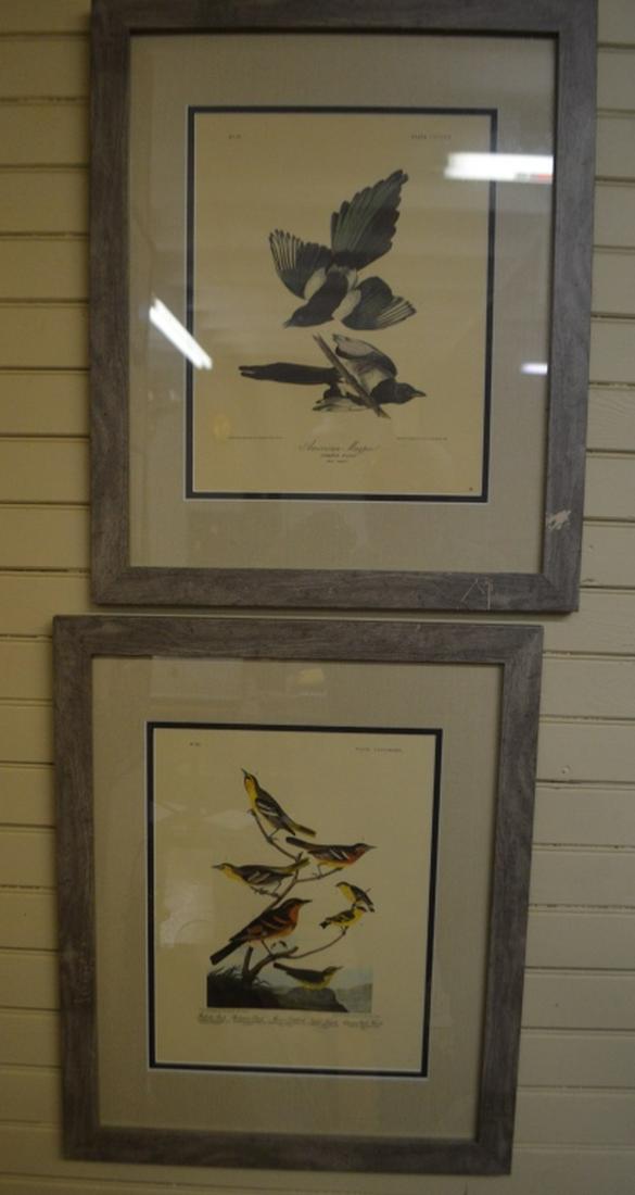 Pair of Audobon Prints Nos 72 and 87 (1 of 7)