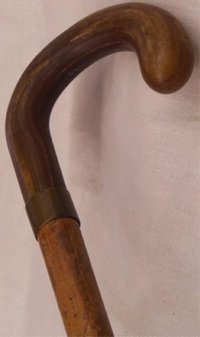 Horn Crook Handle Cane (1 of 5)