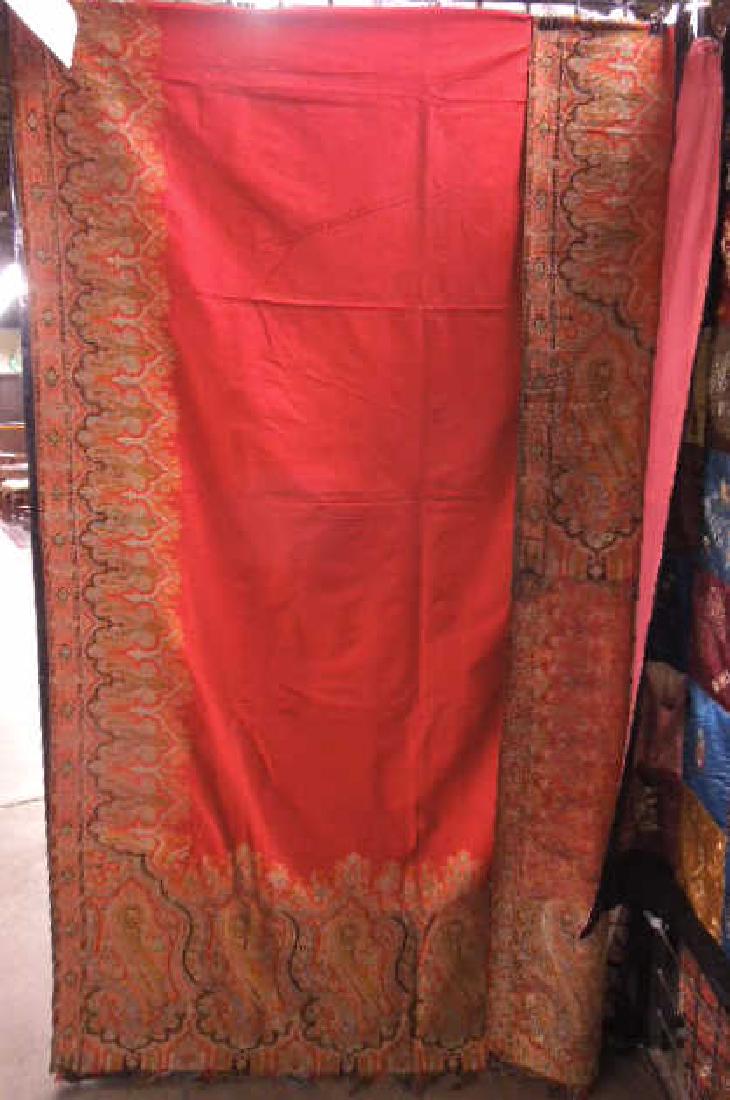 Paisley Shaw (1 of 3)