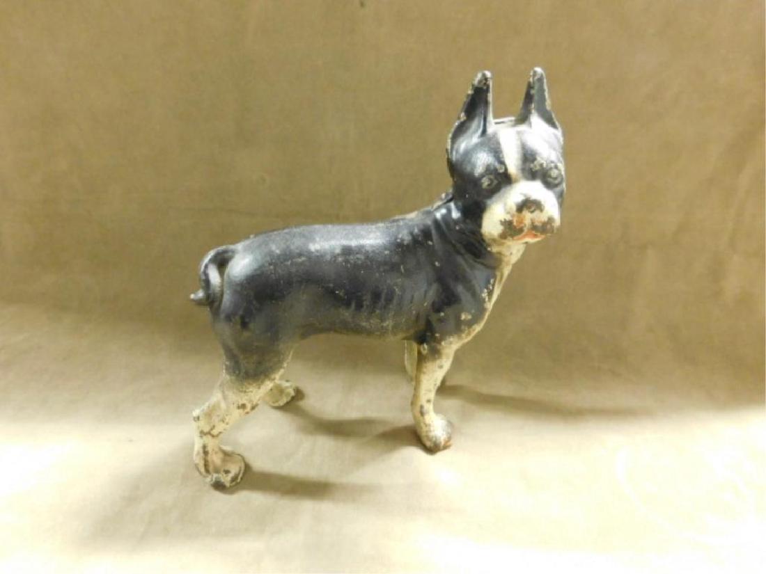 Cast Iron Boston Terrier Doorstop: Early 20th c. painted cast iron Boston Terrier (facing left) 10"h x 9"l doorstop, made by either the Hubley Manufacturing Company or National Foundry. CONDITION: Areas with wear, loss, rust & paint cr