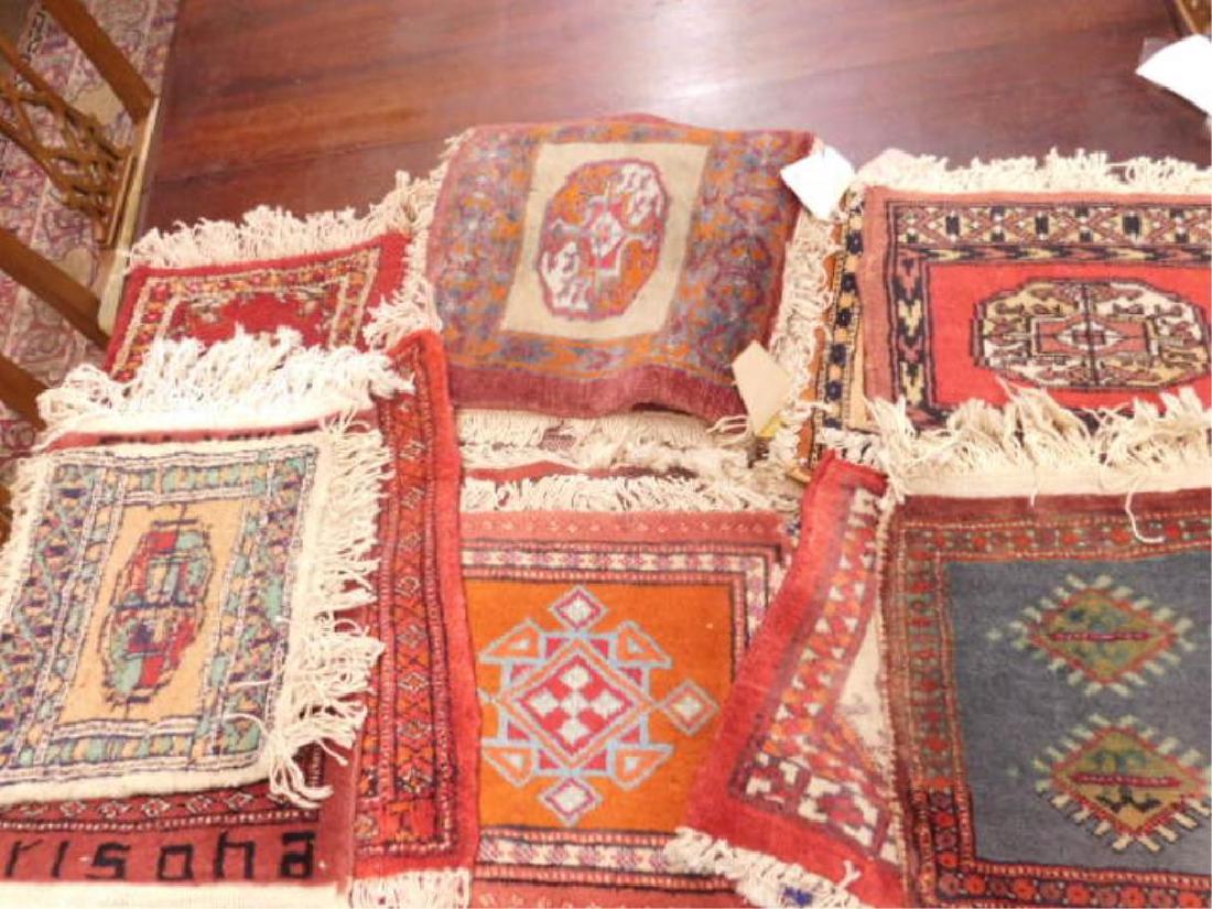 23 Oriental Rug Samples (1 of 1)