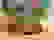 item-56432126=6