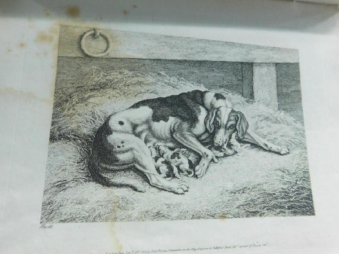 (2) 19th C. Book of Engravings (1 of 8)