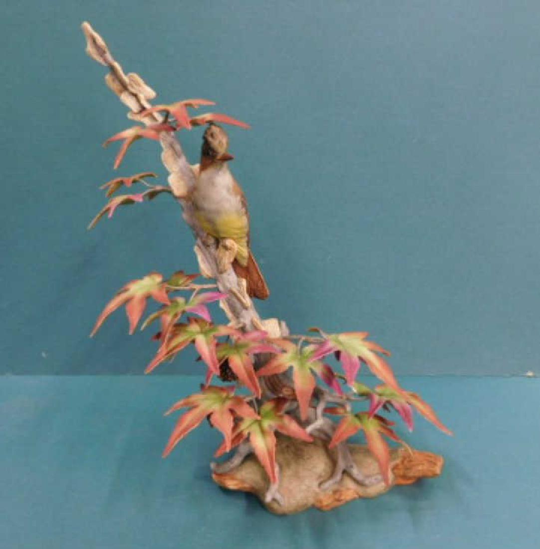 Boehm Crested Flycatcher (1 of 9)