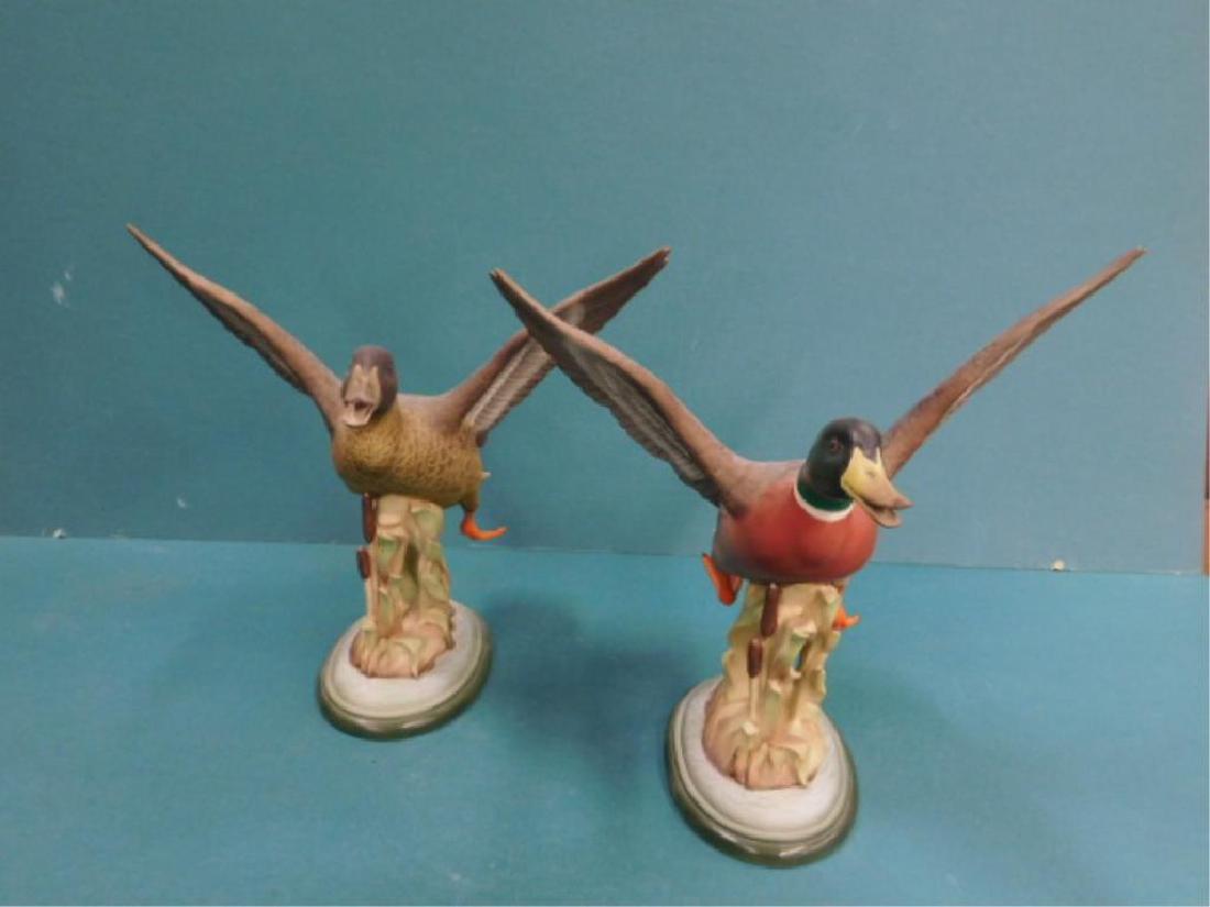 Pr Boehm Male & Female Mallards (1 of 8)