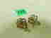 item-65598910=2