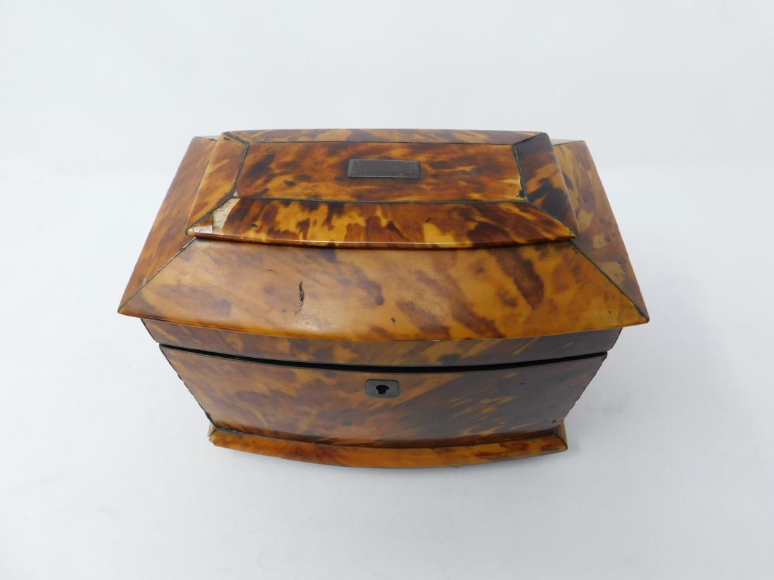 Shell Veneered Tea Caddy (1 of 5)