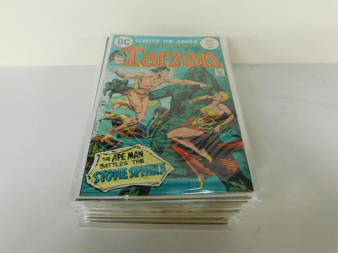 28 Bronze Age DC Comics Tarzan (1 of 2)