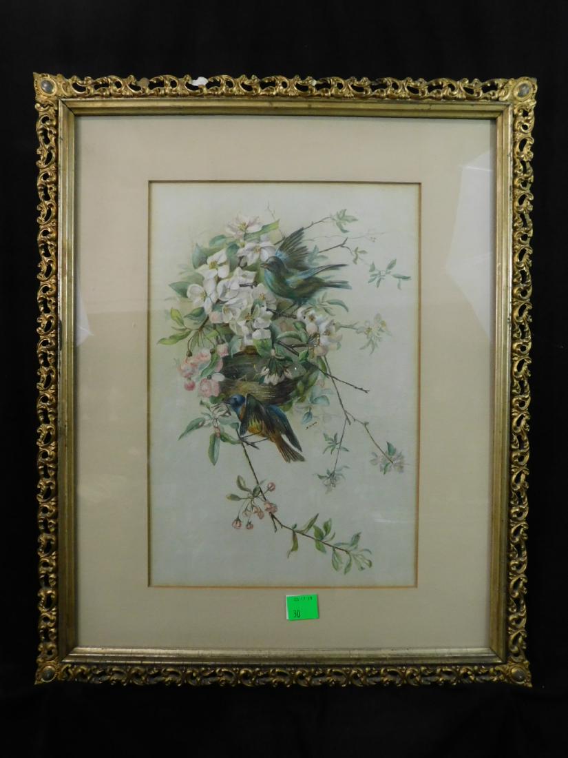 Pastel of Nesting Birds Signed A Genth: Pastel of Nesting Birds Signed A Genth: A framed pastel on paper of a pair of birds nesting in a flowering plant in the Aesthetic Victorian style. Signed A. Genth in the center right of the image. Lat