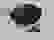 item-71201017=2