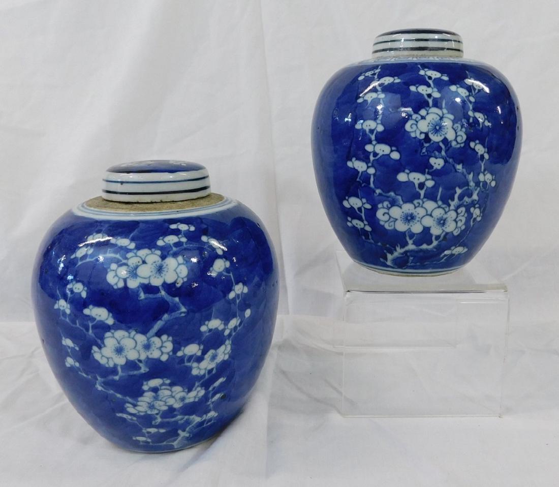 2 Chinese Blue & White Jars: Two Chinese Blue & White Jars, porcelain covered ginger jars with flowering Dogwood painting, 19th / 20th C, approx 6"h.[10] CONDITION: Very good, no issues identified.