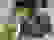 item-76006981=2