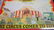 6 Matchbox Collector Sets - 4