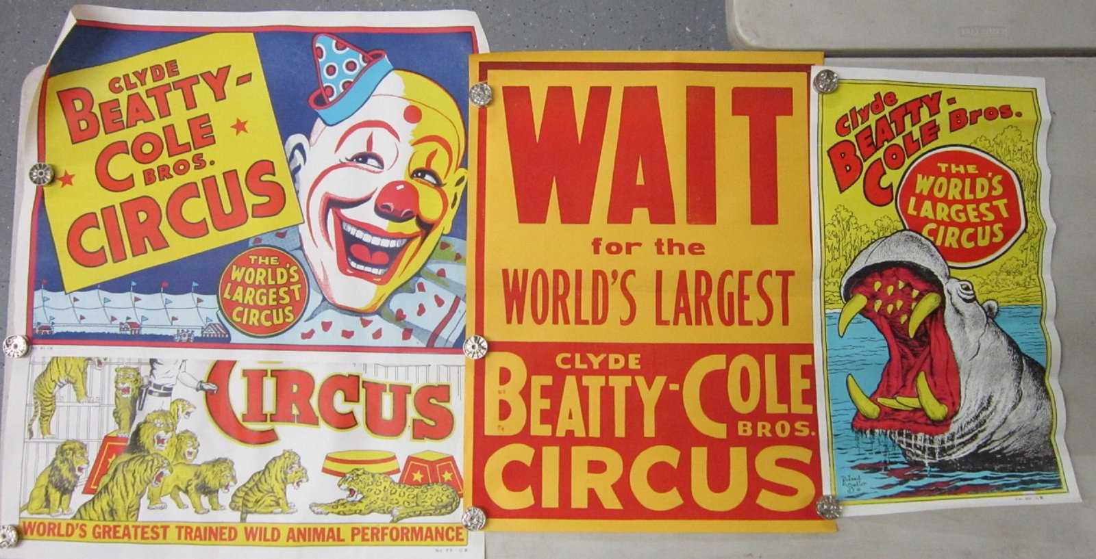 4 Original Clyde Beatty Cole Bros Circus Posters: Four Original Clyde Beatty Cole Bros Circus Posters, all one sheet, litho on paper including: hippo, Roland Butler, No. 80-CB, 14" x 26", plus clown, No. 81 CB and animal tamer "World's Greatest Train