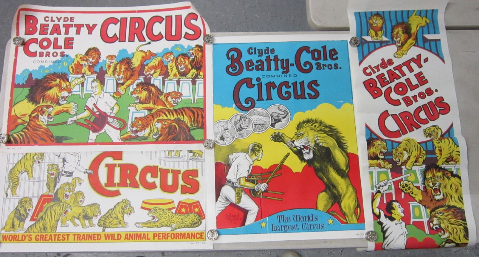 4 Original Clyde Beatty Cole Bros Circus Posters: Four Original Clyde Beatty Cole Bros Circus Posters, all one sheet litho on paper including: two lions and tigers with trainer, No. 77-CB and No. 88-CB, plus lion tamer, Roland Butler No. 86-CB , all 