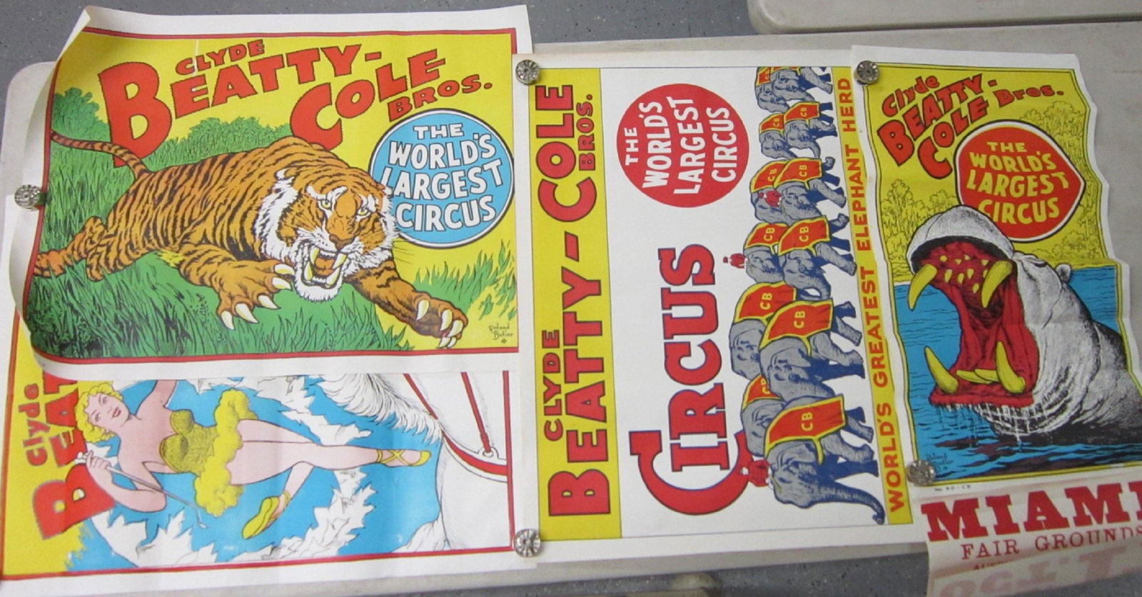 4 Original Clyde Beatty Cole Bros. Circus Posters: Four Original Clyde Beatty Cole Bros. Circus Posters, all one sheet, litho on paper including: hippo, Roland Butler, No. 80-CB, 14" x 26 1/2" with attached fair sheet "Miami Fair Grounds", auspices: K