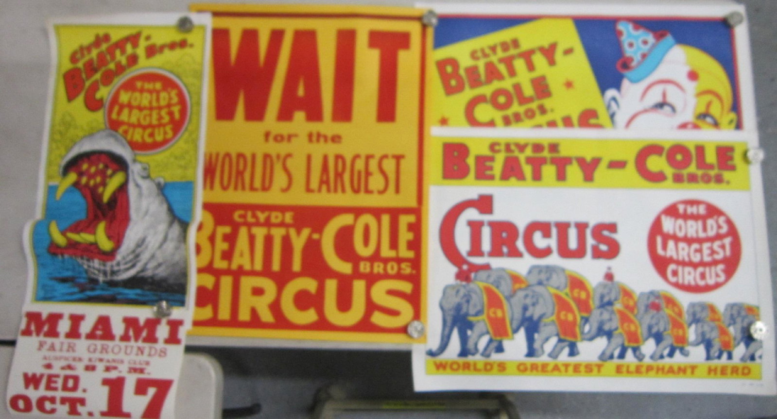 4 Original Clyde Beatty Cole Bros. Circus Posters: 4 Original Clyde Beatty Cole Bros. circus posters, all one sheet, litho on paper including; Hippo, Roland Butler, 14" x 27", with attached Fair paper poster "Miami Fair Grounds, auspices: Kiwanis Club