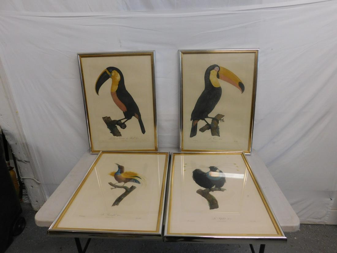 After Jacques Barraband Four Colored Engravings: (4 pieces) After Jacques Barraband Four Colored Engravings: framed, hand-colored engravings of birds after the original works by Jacques Barraband (French, 1767-1809). This lot consist of: Plate 6 "Le