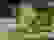 item-91768220=5