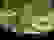 item-91768326=4
