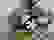 item-91768566=4