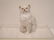 1475: Royal Doulton Persian Cat Figure