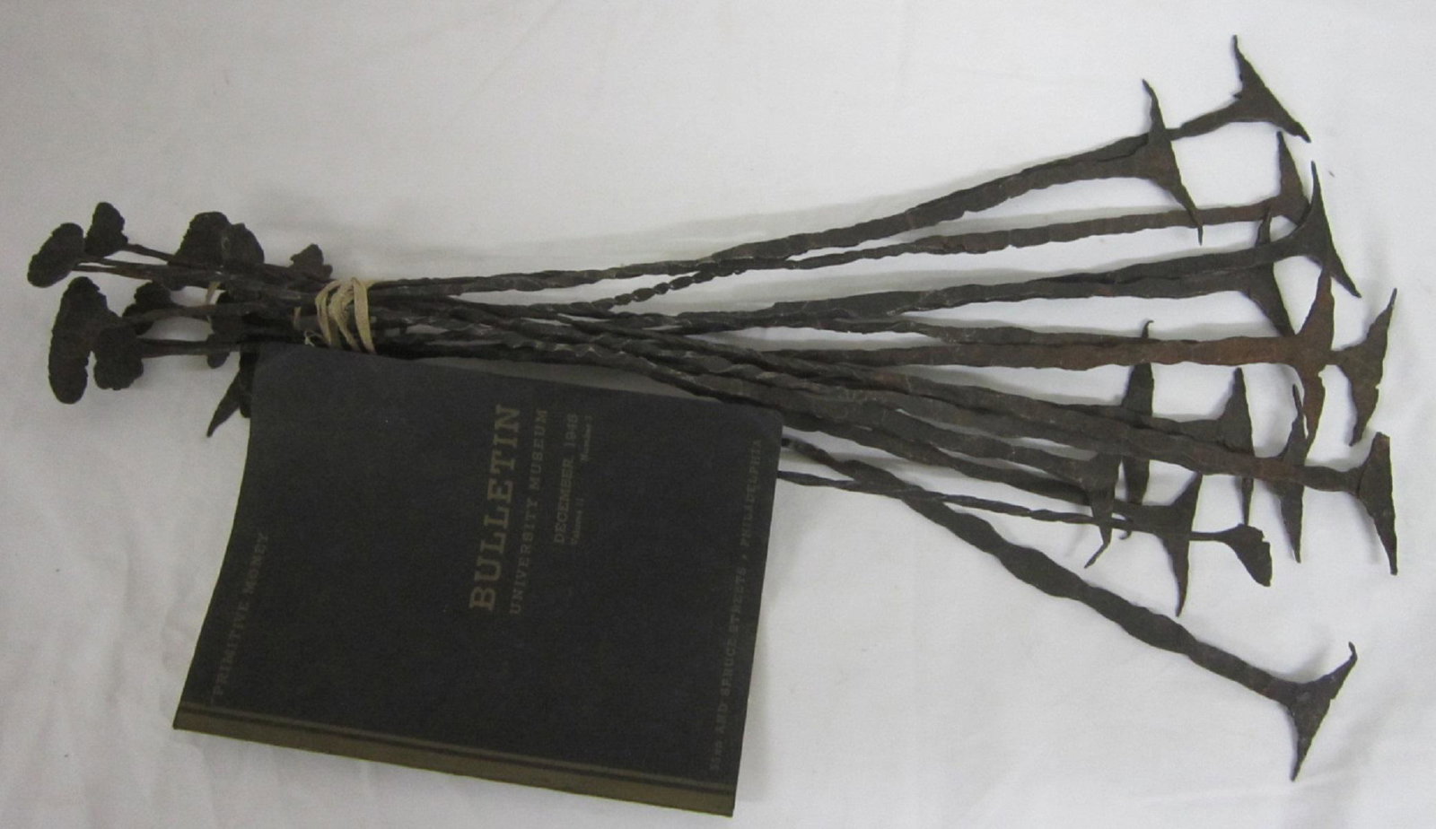 Rare Central Africa "Kissi" Bundle of Iron Money: Rare Central Africa "Kissi" Bundle of Iron Money, fifteen wrought iron pieces utilized in the exchange of goods; these were often used as a bride price in the marriages of the well to do; 19th C, leng