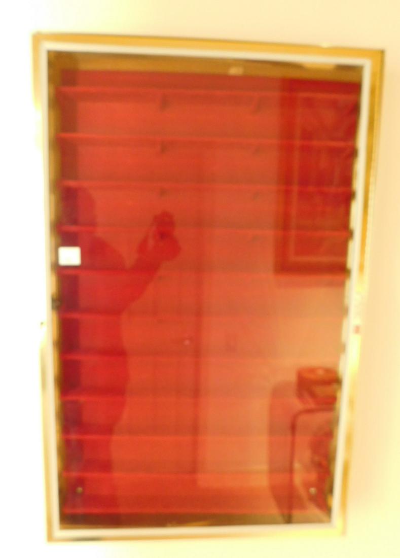 Wall Mounted Display Case (1 of 3)