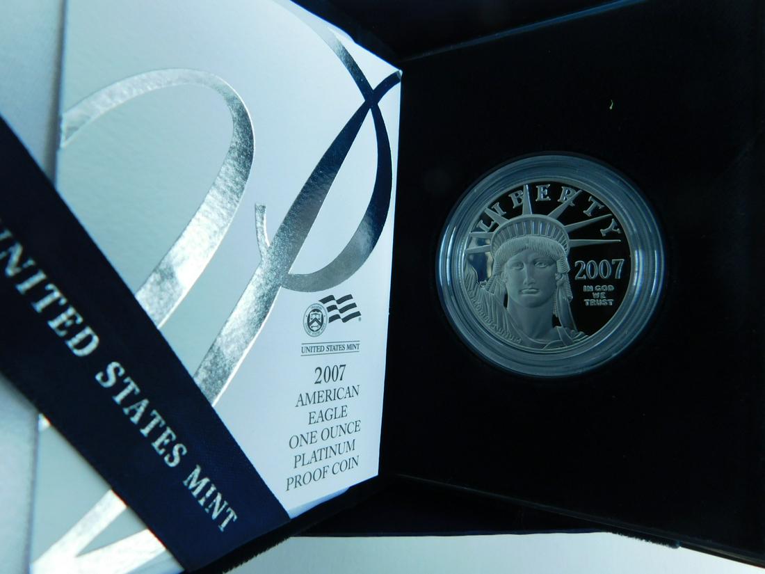 US American Eagle Platinum Proof Coin (1 of 3)