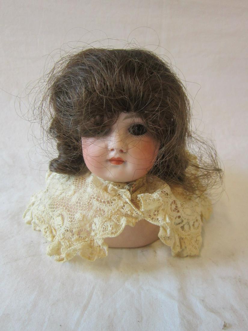 Unmarked Bisque Head & Shoulders: Unmarked Bisque Head and Shoulders, brown paper weight eyes, closed mouth, brown wig, lace collar, no body, 4.5". CONDITION: Very fine.