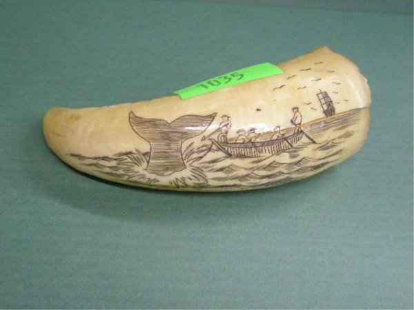 Scrimshaw Whales Tooth: Scrimshaw whales tooth w/ whale spearing hunt scene; length 4", early 20th c.